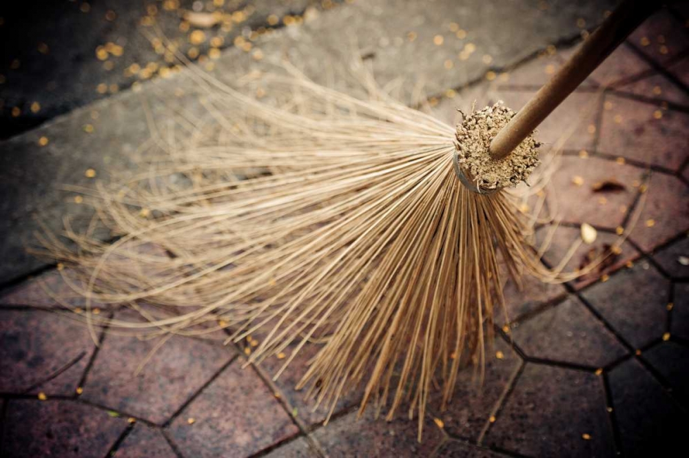 Art Print: Thai Broom I