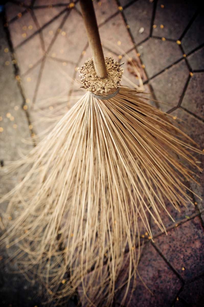 Art Print: Thai Broom II