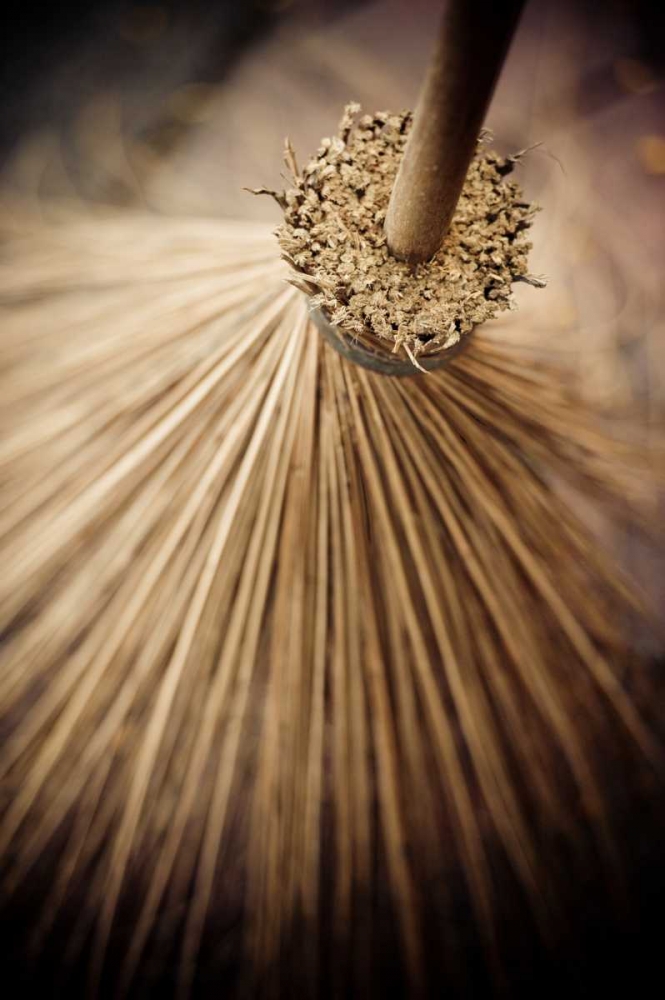 Art Print: Thai Broom III