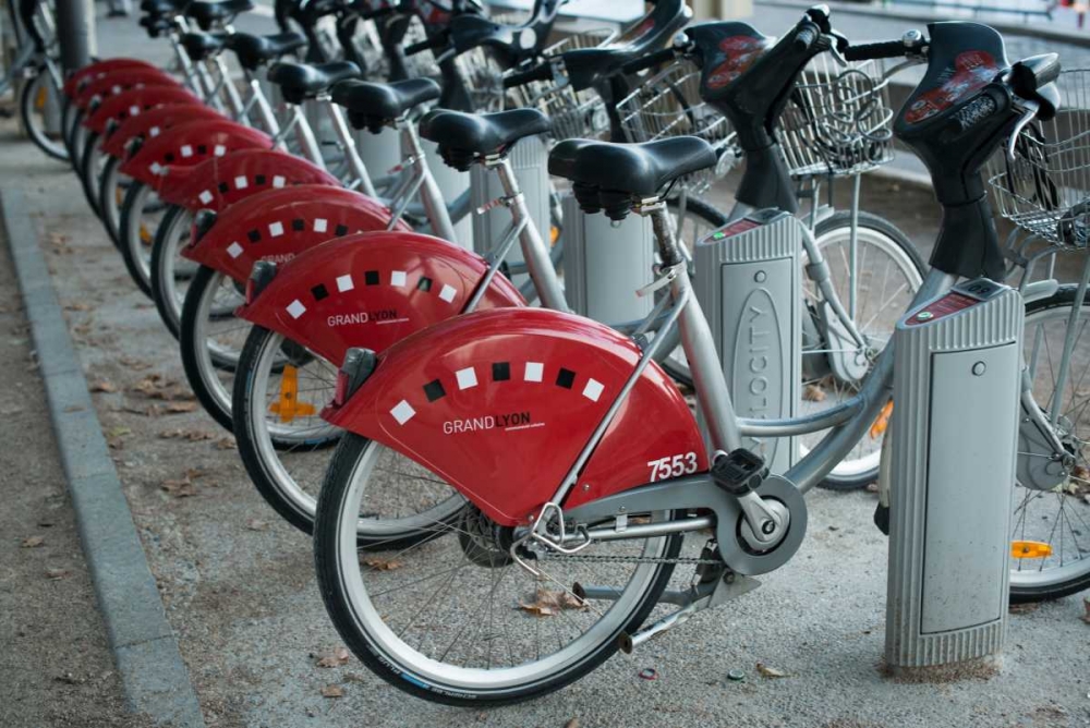 Wall Art Painting id:19797, Name: Grand Lyon I, Artist: Berzel, Erin