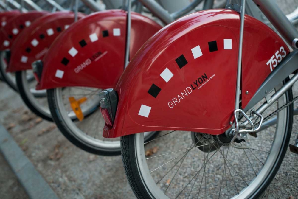 Wall Art Painting id:19798, Name: Grand Lyon II, Artist: Berzel, Erin