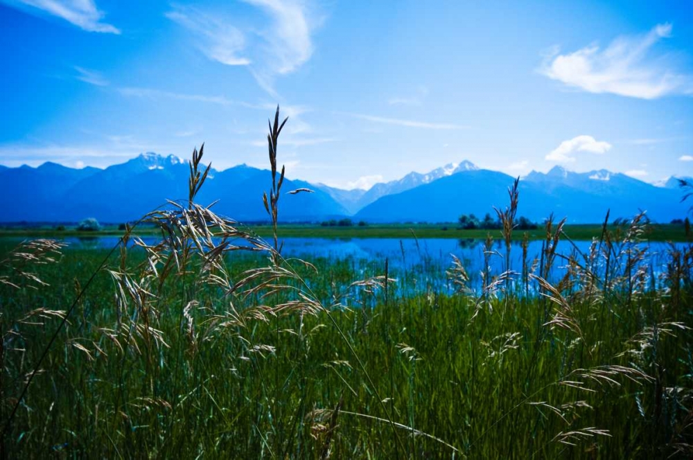 Wall Art Painting id:29181, Name: Mission Mountains II, Artist: Berzel, Erin