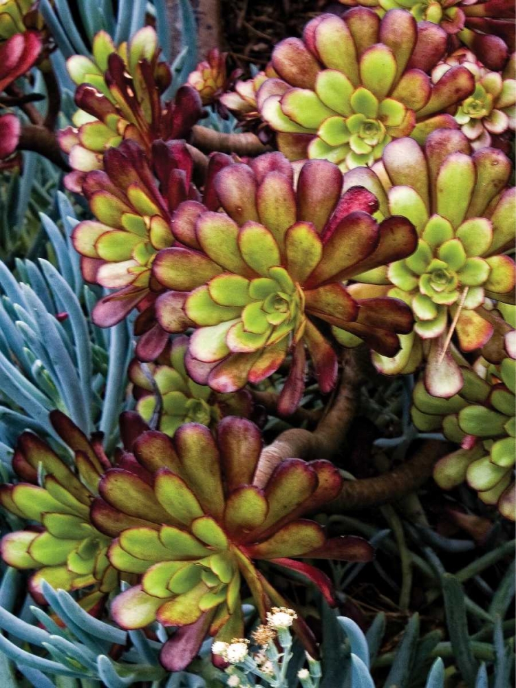 Similar wall art painting: 1546