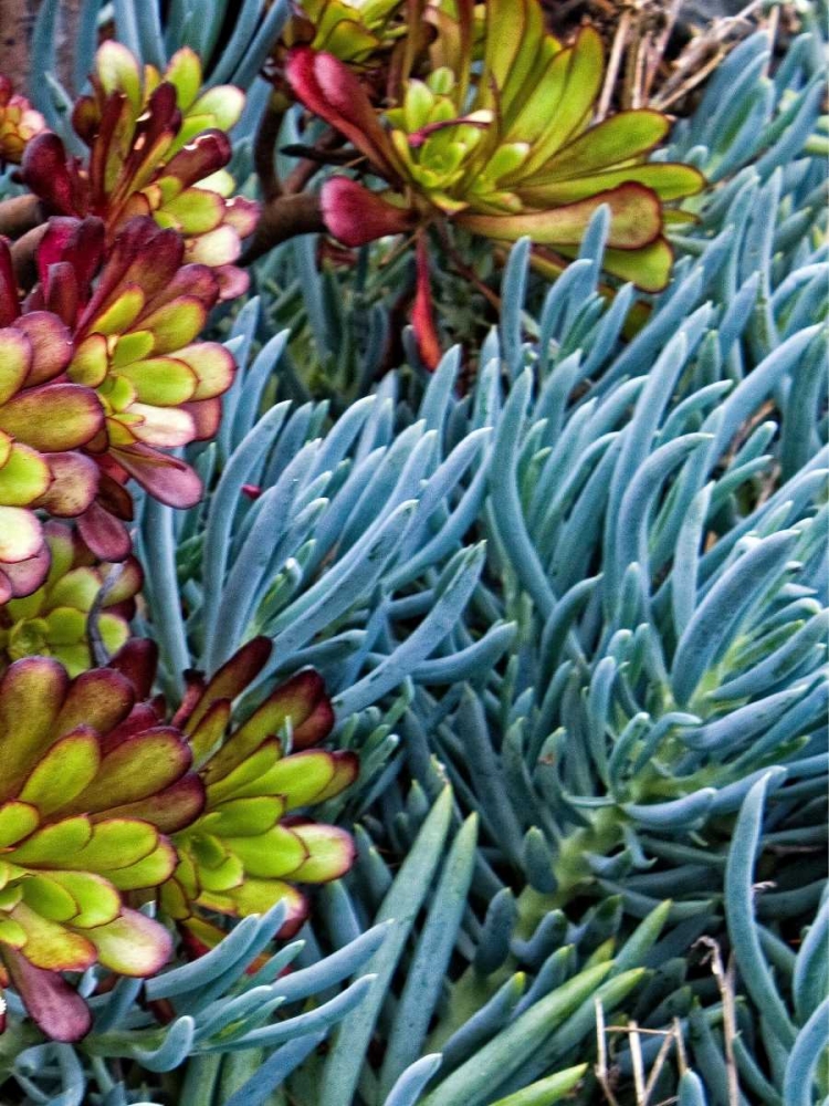 Wall Art Painting id:1547, Name: Garden Glimpse II, Artist: Crane, Rita