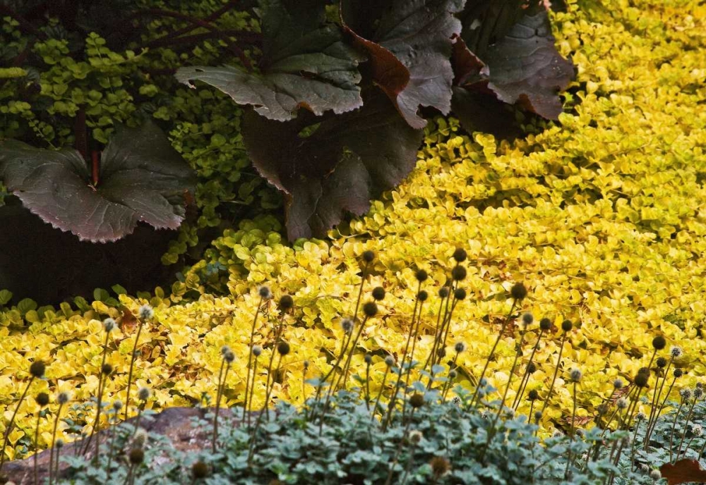 Similar wall art painting: 1548