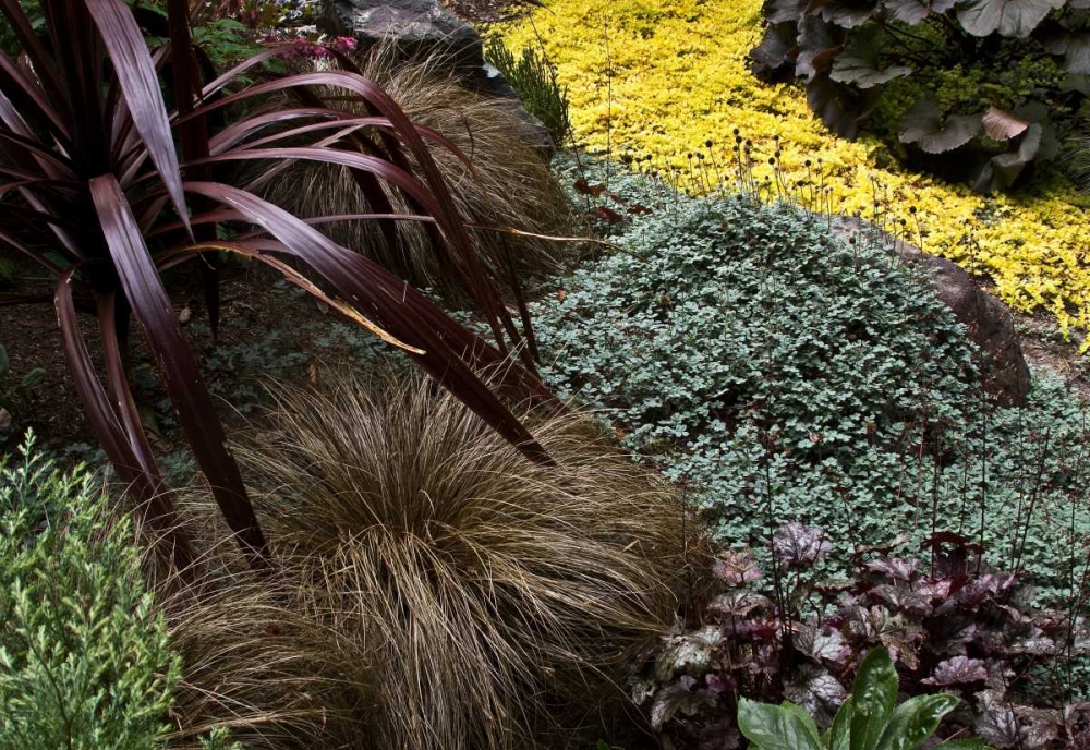 Wall Art Painting id:1549, Name: Garden Glimpse IV, Artist: Crane, Rita