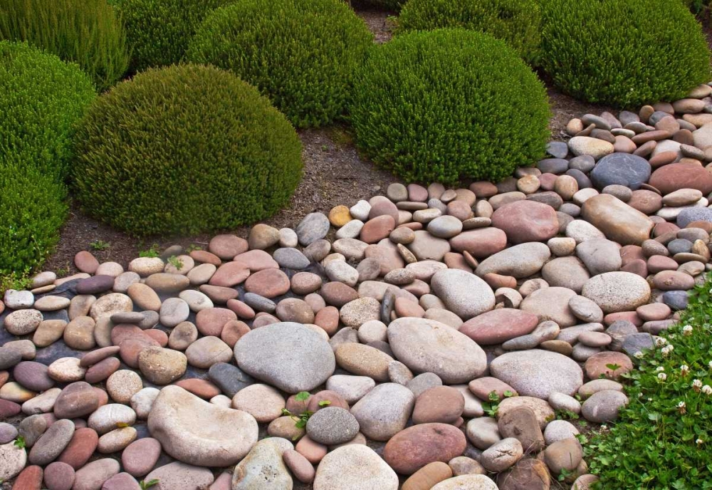 Wall Art Painting id:1553, Name: Garden Glimpse VIII, Artist: Crane, Rita