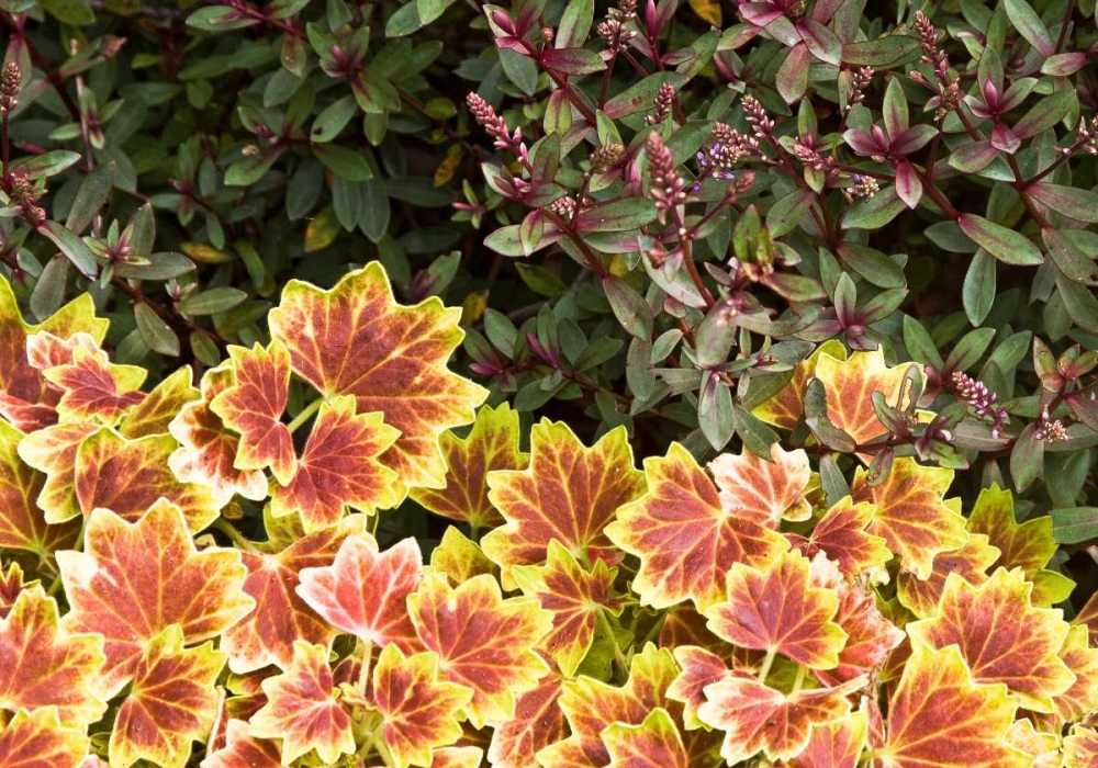 Similar wall art painting: 1555