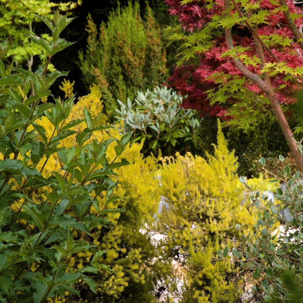 Similar wall art painting: 1556