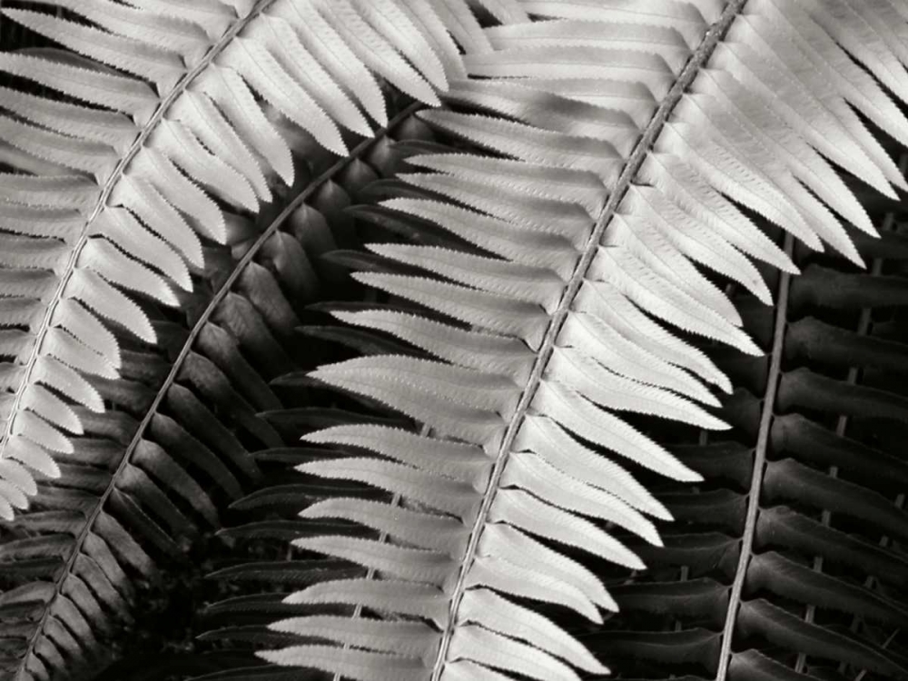 Similar wall art painting: 82863