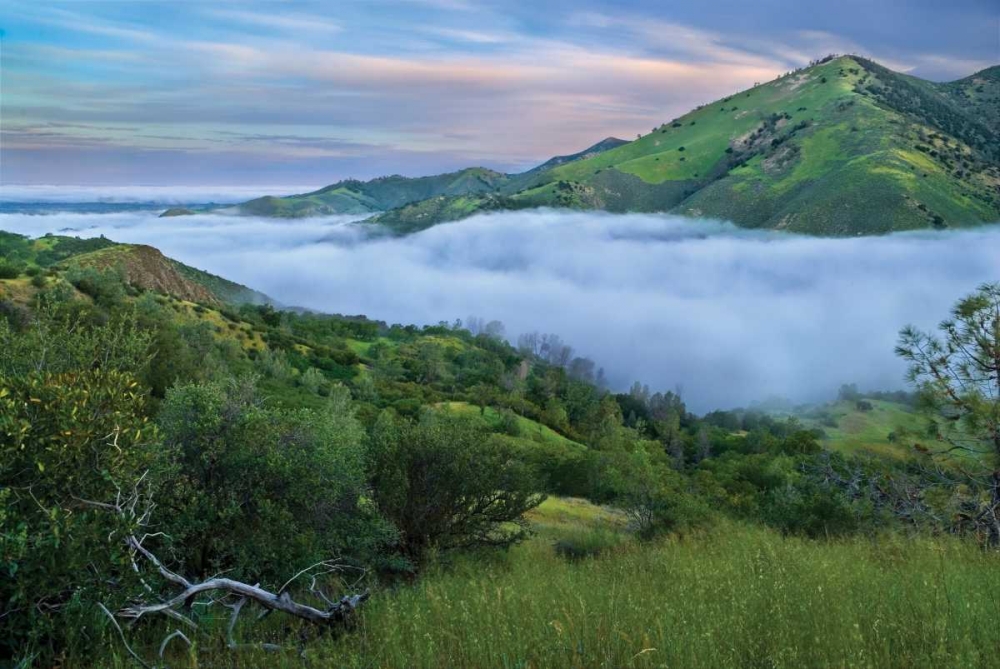 Similar wall art painting: 9467