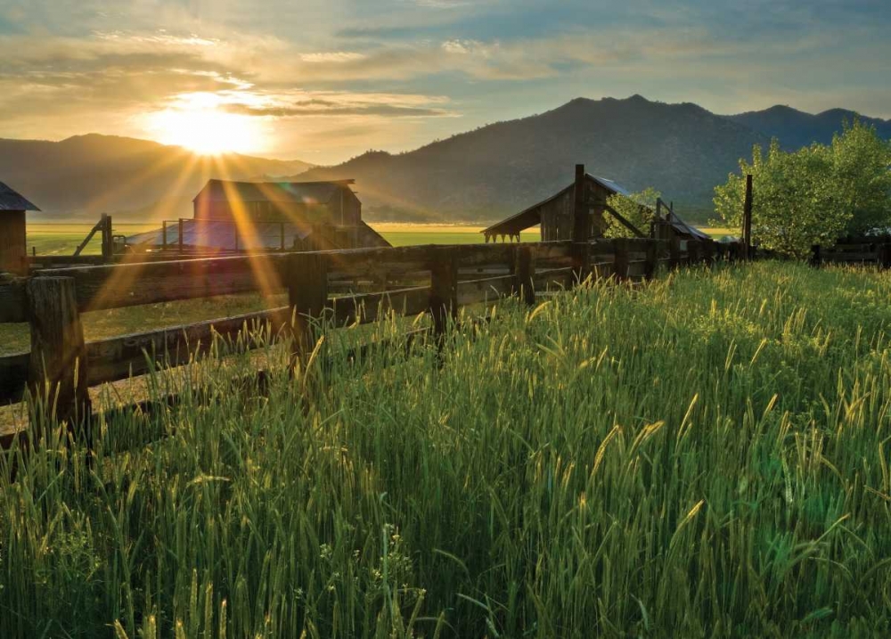 Art Print: Walker Basin I