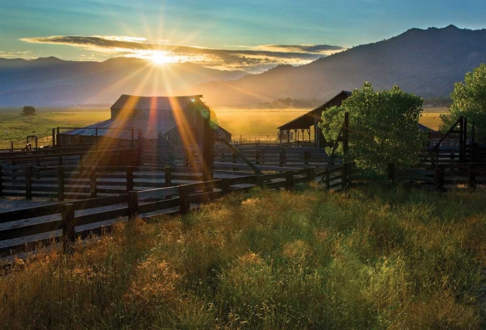 Art Print: Walker Basin II