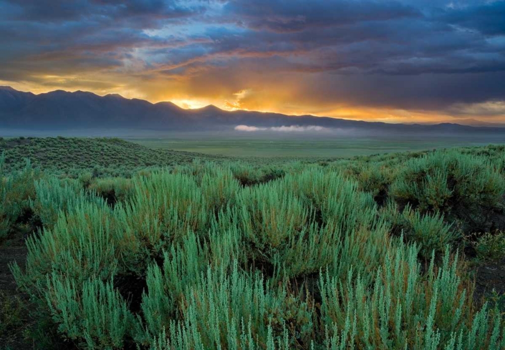 Art Print: Benton Crossing II