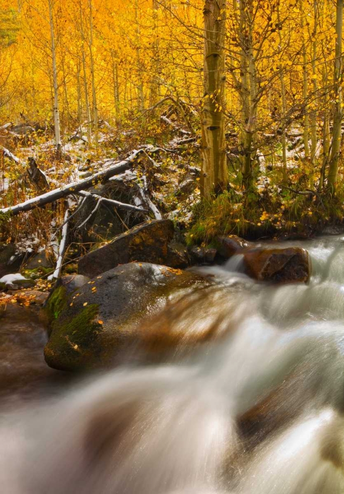 Art Print: Cascade of Change