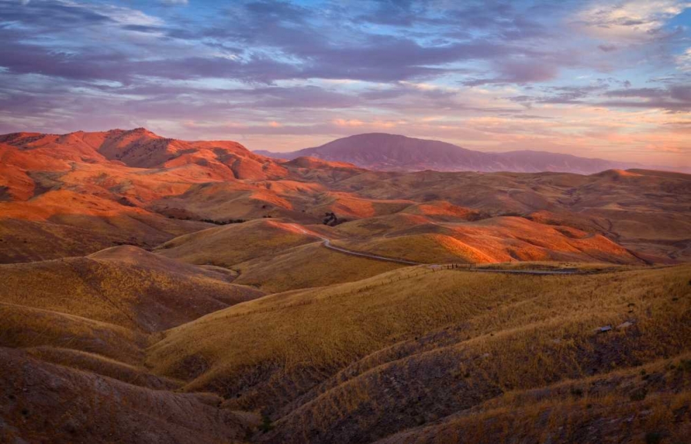 Art Print: Parched Palette