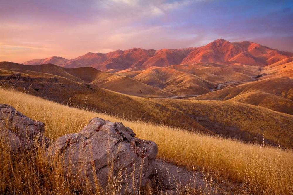 Art Print: Summer Autumn