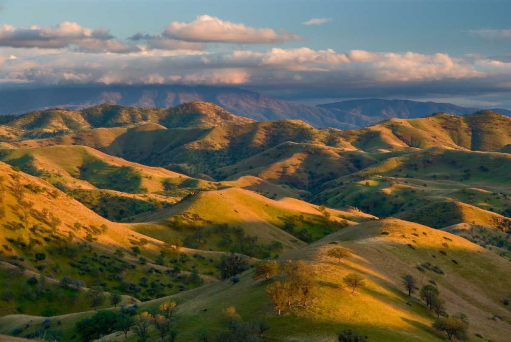 Art Print: Passing Spring