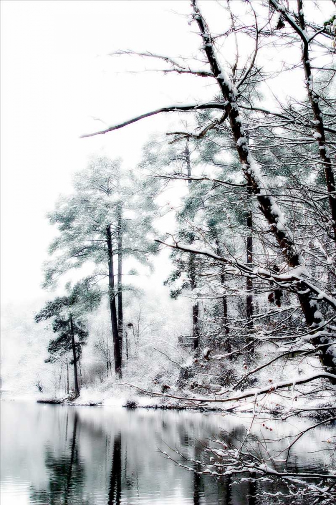 Wall art: Shelly Lake in Winter I, by Hausenflock, Alan