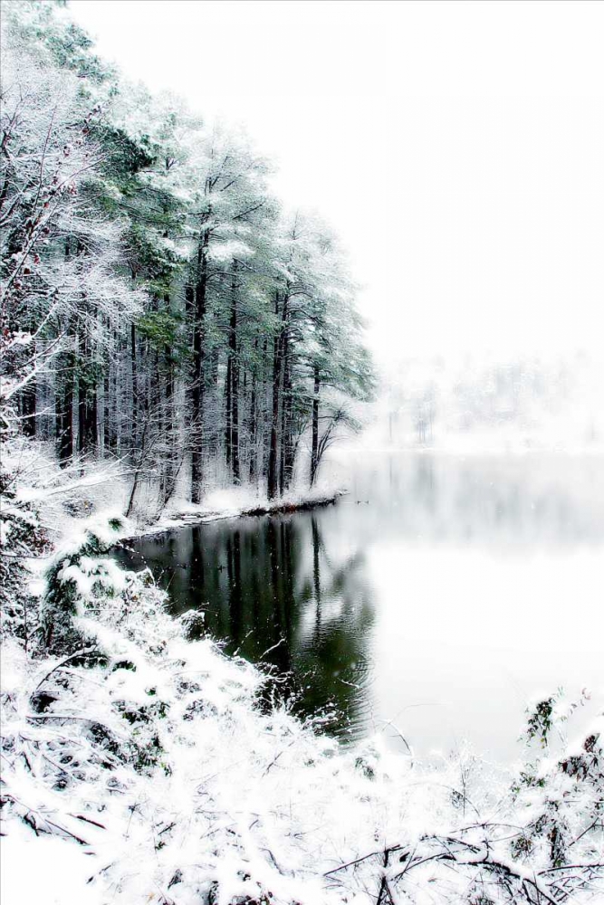 Wall art: Shelly Lake in Winter II, by Hausenflock, Alan