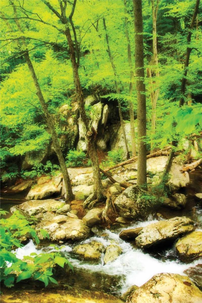 Wall art: White Oak River II, by Hausenflock, Alan