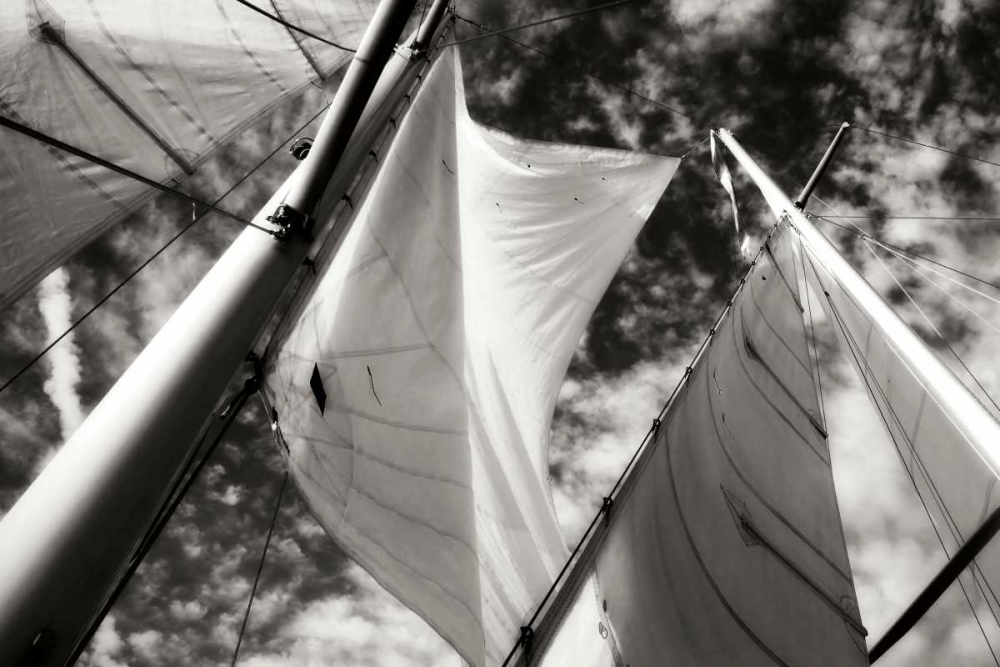 Wall Art Painting id:14331, Name: The Woodwind I, Artist: Hausenflock, Alan