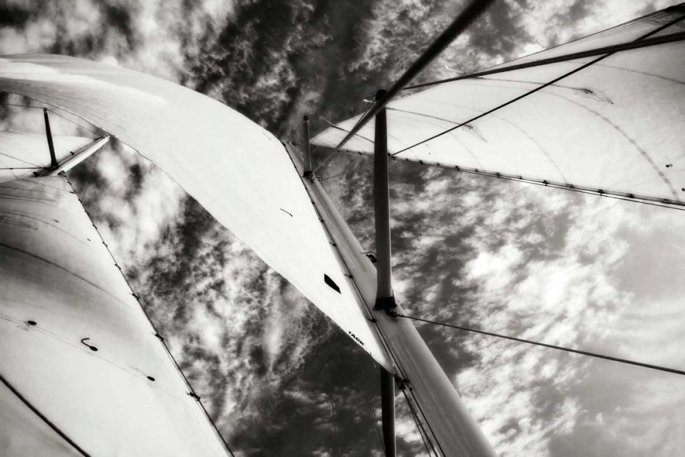 Wall Art Painting id:14332, Name: The Woodwind II, Artist: Hausenflock, Alan