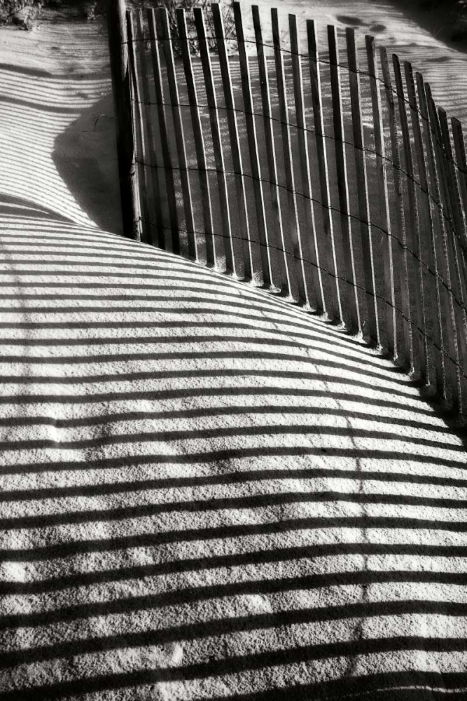 Wall Art Painting id:14352, Name: Dunes Fence VI, Artist: Hausenflock, Alan