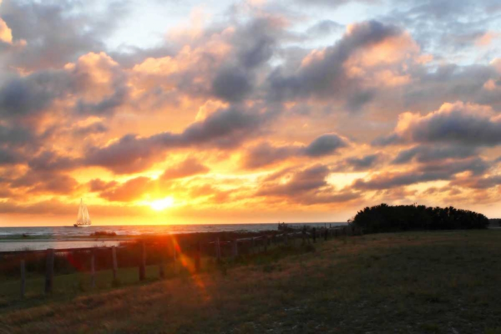 Art Print: East Bay Sunrise III