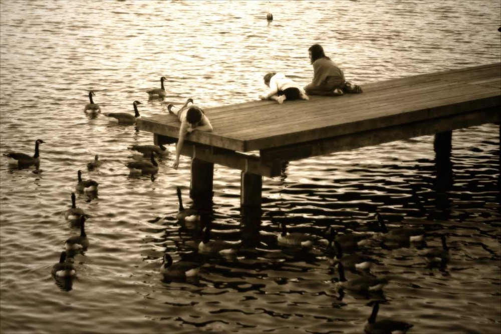 Art Print: Feeding the Geese I