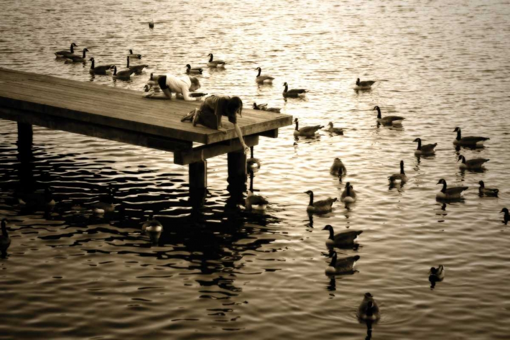 Art Print: Feeding the Geese II