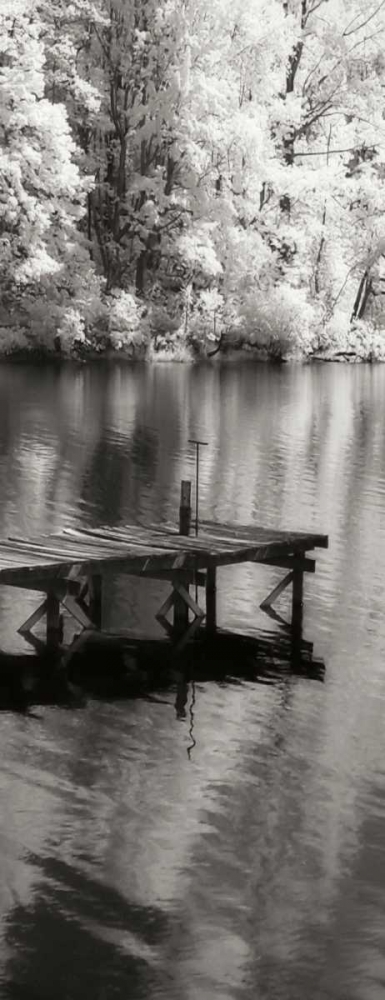 Wall Art Painting id:19912, Name: Mint Springs Lake Panel I, Artist: Hausenflock, Alan