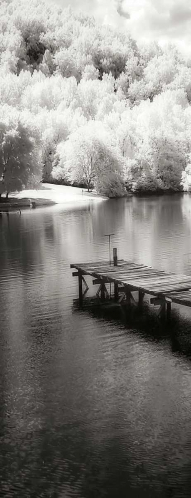 Wall Art Painting id:19913, Name: Mint Springs Lake Panel II, Artist: Hausenflock, Alan