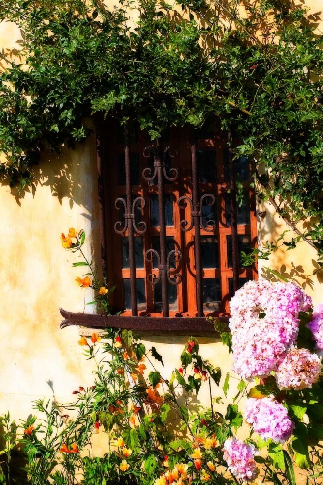 Wall Art Painting id:801, Name: Mission Window, Artist: Hausenflock, Alan