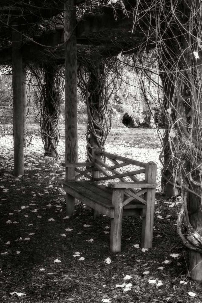 Art Print: Winter Arbor II