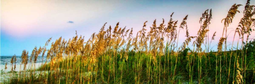 Art Print: Days End I