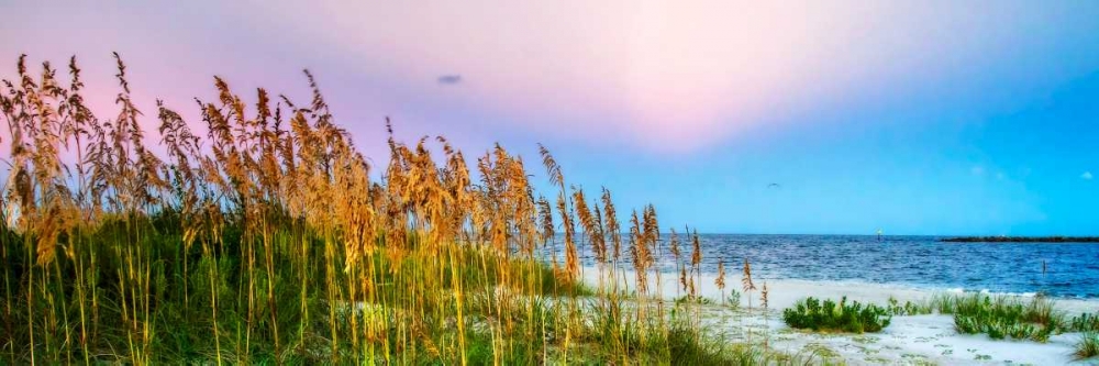 Art Print: Days End II