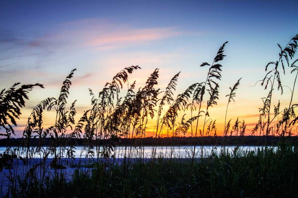 Art Print: Masonboro Sunset I
