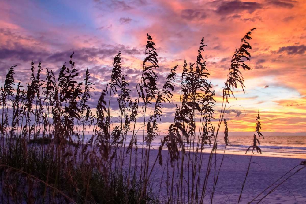 Art Print: Ragged Sunrise III