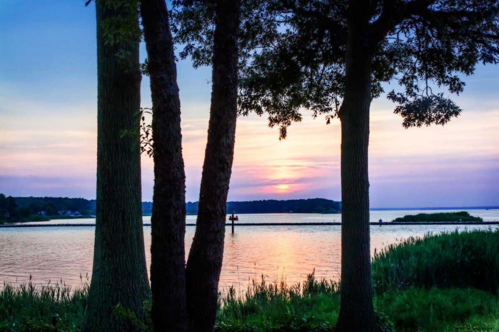 Art Print: Cobb Island Sunset II