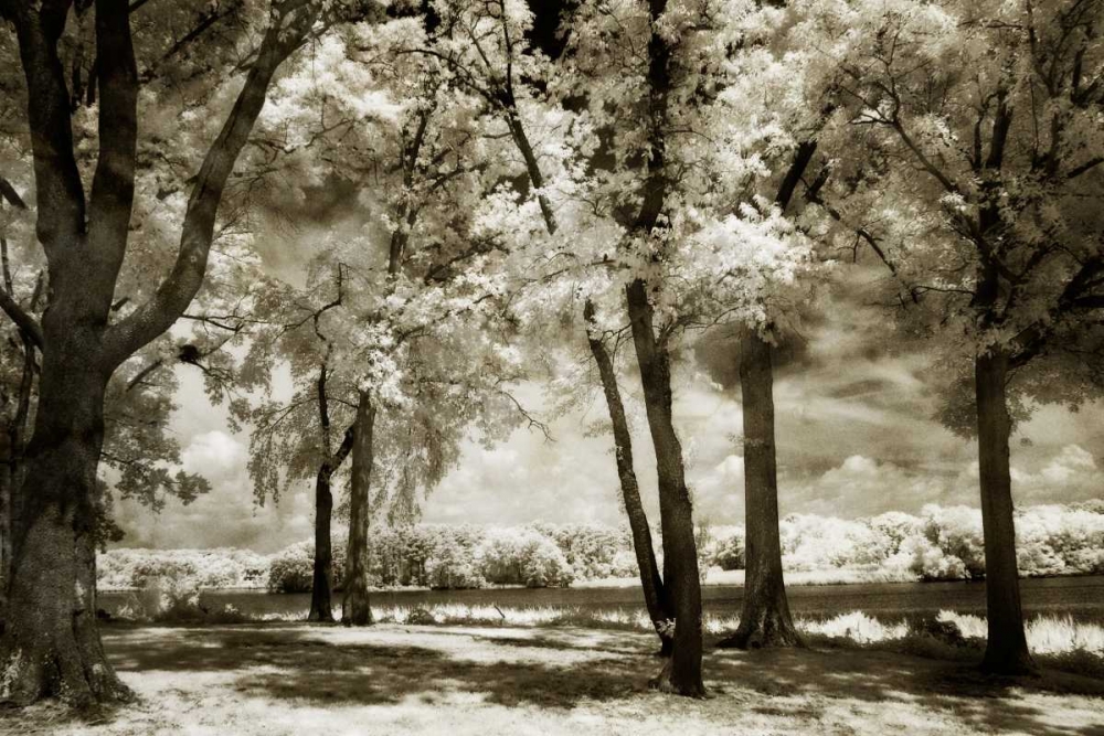 Art Print: Cobb Island Channel I