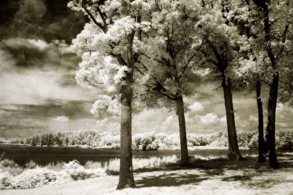 Art Print: Cobb Island Channel II