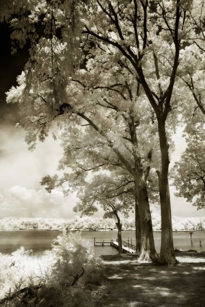 Art Print: Cobb Island III