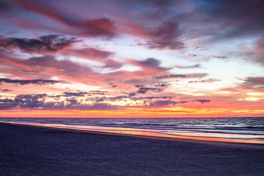 Wall art: Gulls on the Shore I, by Hausenflock, Alan