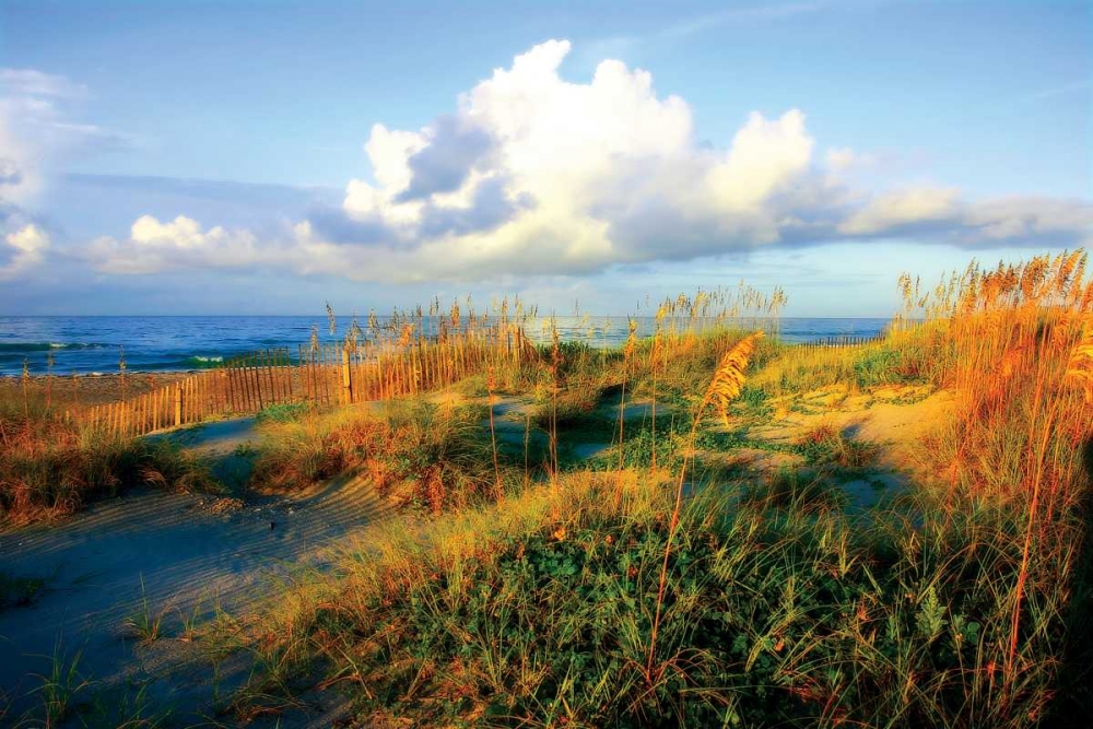 Wall Art Painting id:872, Name: Dunes II, Artist: Hausenflock, Alan