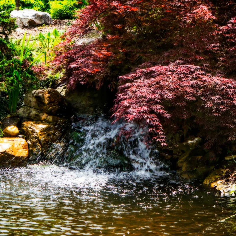 Art Print: Gentle Waterfall II