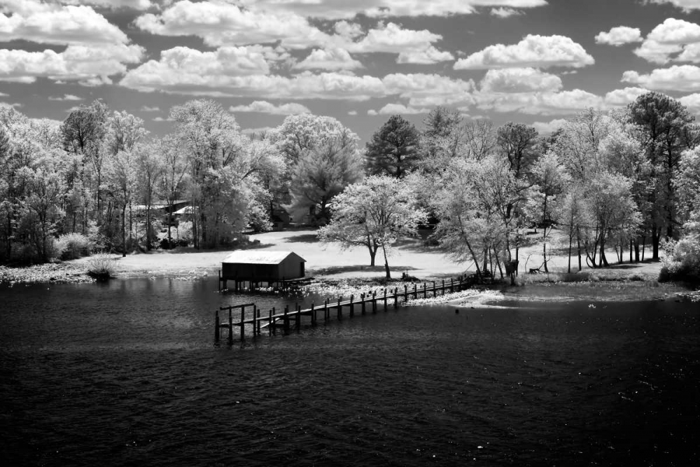 Wall Art Painting id:145665, Name: Spring on the Mattaponi I, Artist: Hausenflock, Alan