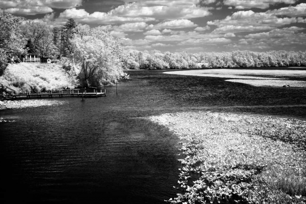 Wall Art Painting id:145666, Name: Spring on the Mattaponi II, Artist: Hausenflock, Alan