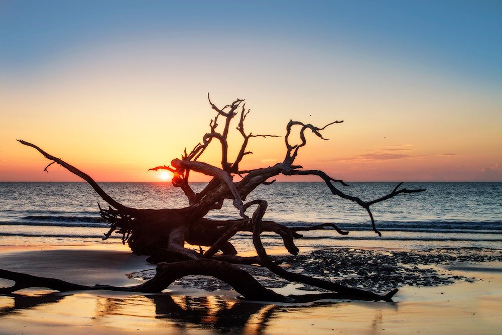 Wall art: Jekyll Island Sunrise III, by Hausenflock, Alan