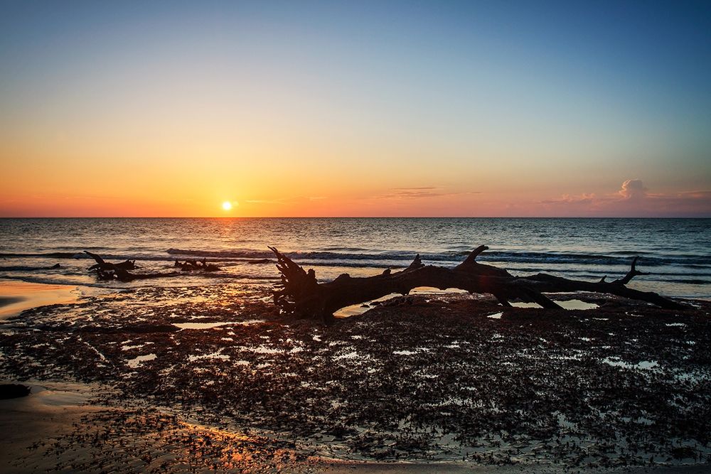 Art Print: Jekyll Island Sunrise IV